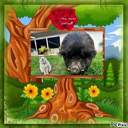 Kailash of the purujit1912 family