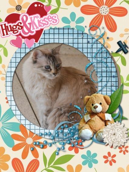 Kailash of the purujit1912 family