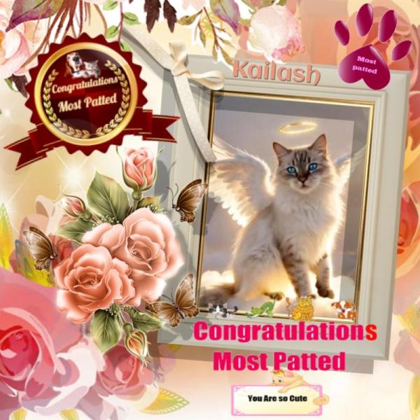 Kailash of the purujit1912 family