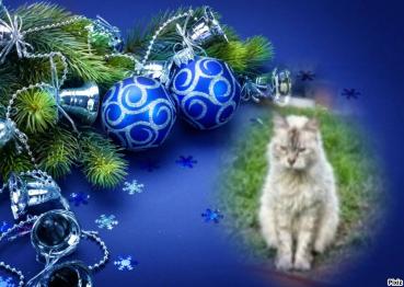 Kailash of the purujit1912 family