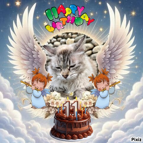 Kailash of the purujit1912 family