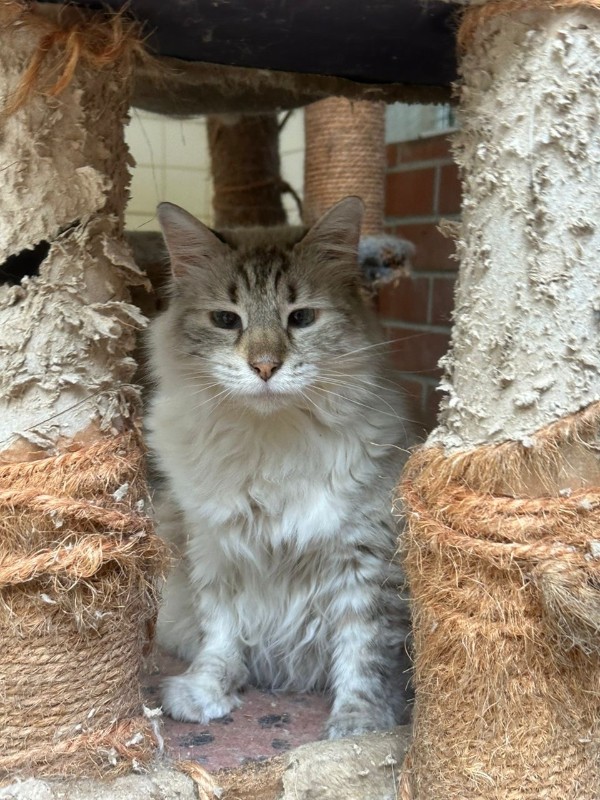 Kailash of the purujit1912 family