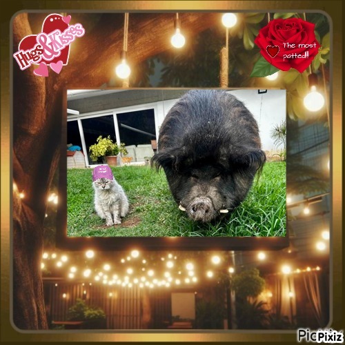 Kailash of the purujit1912 family