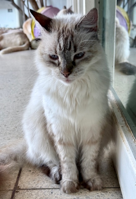 purujit1912 uploaded   272  day/s  ago