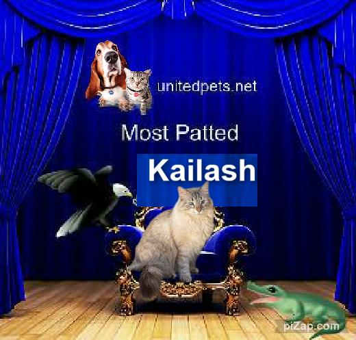 Kailash of the purujit1912 family