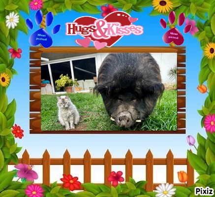 Kailash of the purujit1912 family