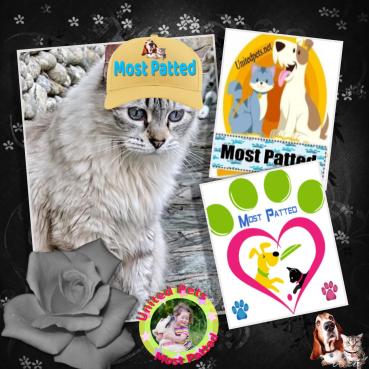 Kailash of the purujit1912 family