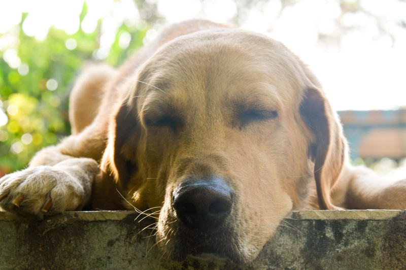 purujit1912 uploaded   6 year/s ago