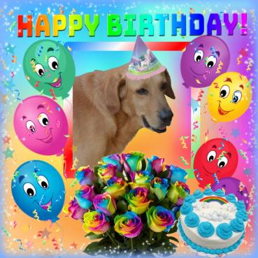 Enzo of the purujit1912 family