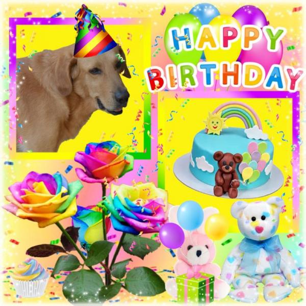 Enzo of the purujit1912 family