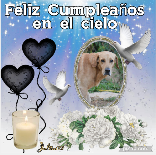 Enzo of the purujit1912 family