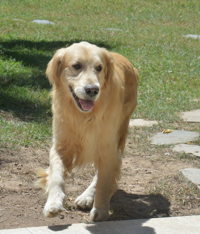 purujit1912 uploaded   4 year/s ago