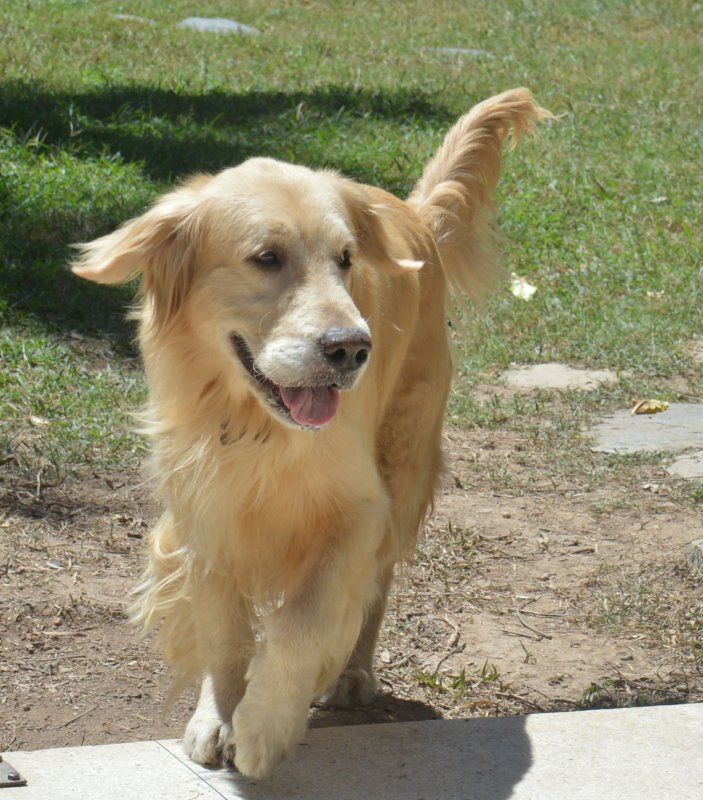 purujit1912 uploaded   4 year/s ago