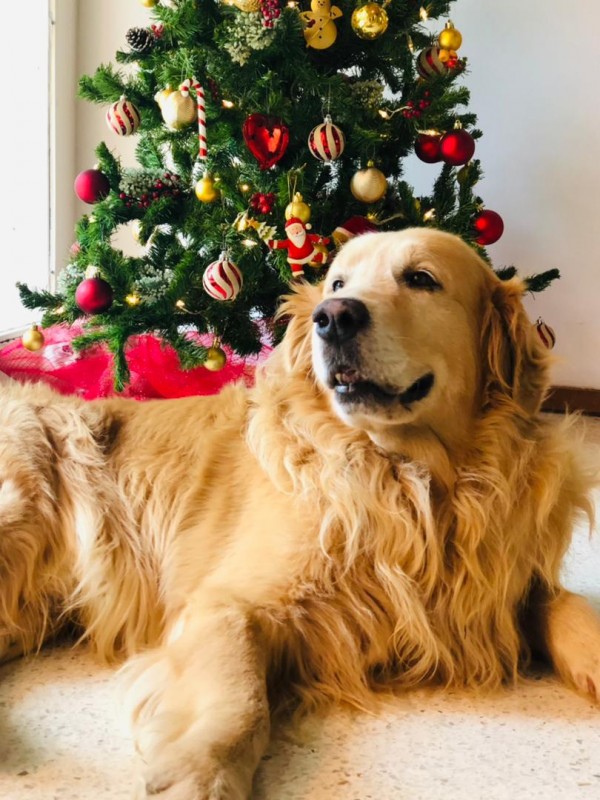 purujit1912 uploaded   4 year/s ago