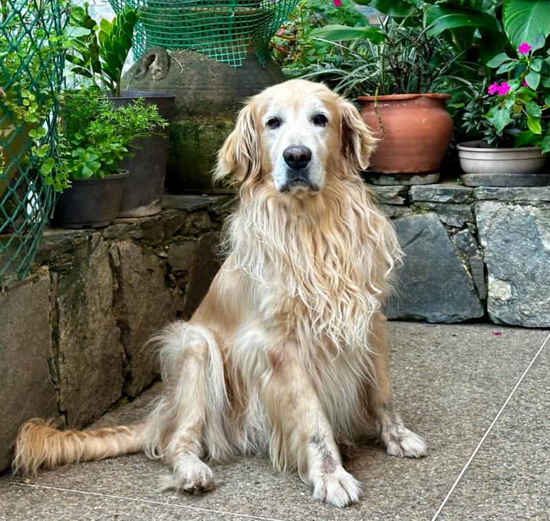 purujit1912 uploaded   2 year/s ago