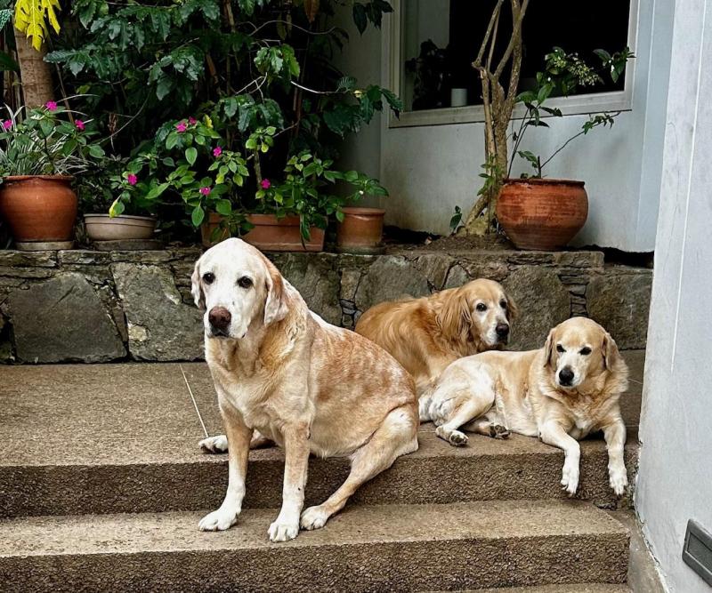 purujit1912 uploaded   2 year/s ago