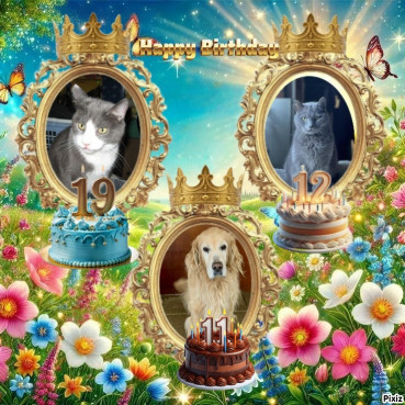 purujit1912 uploaded   18  day/s  ago