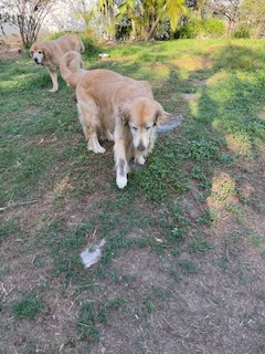 purujit1912 uploaded   349  day/s  ago