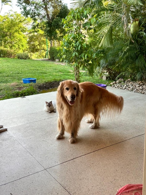 purujit1912 uploaded   326  day/s  ago