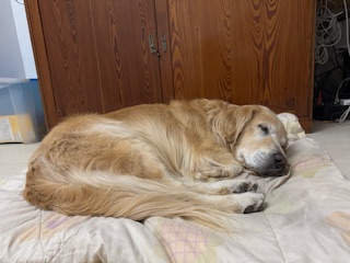 purujit1912 uploaded   1 year/s ago