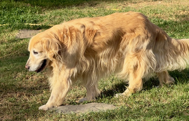 purujit1912 uploaded   2  day/s  ago