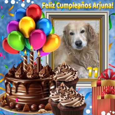 purujit1912 uploaded   18  day/s  ago