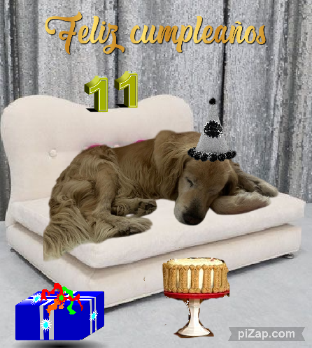 purujit1912 uploaded   18  day/s  ago