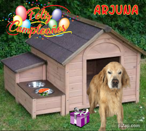 purujit1912 uploaded   18  day/s  ago