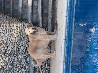 purujit1912 uploaded   188  day/s  ago