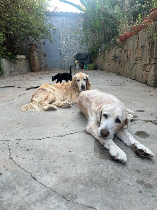 purujit1912 uploaded   99  day/s  ago