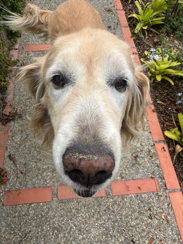 purujit1912 uploaded   8  day/s  ago