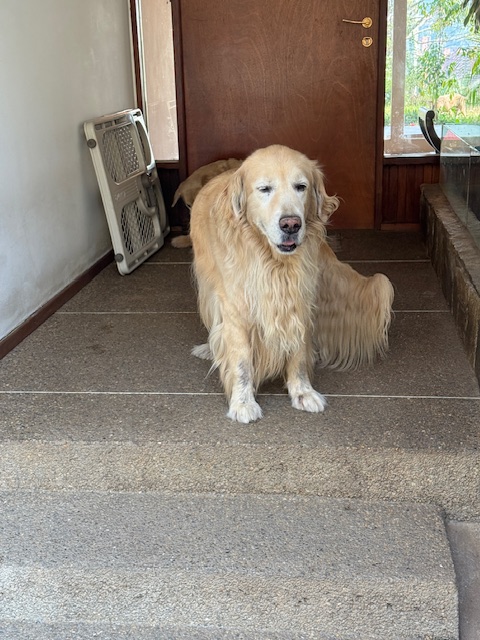 purujit1912 uploaded   1 year/s ago