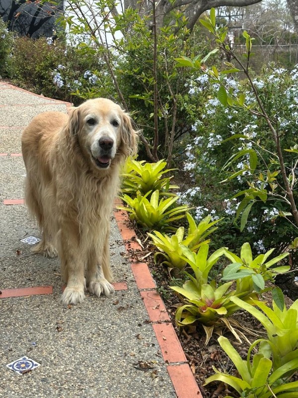 purujit1912 uploaded   8  day/s  ago