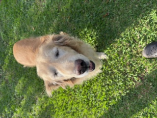 purujit1912 uploaded   188  day/s  ago