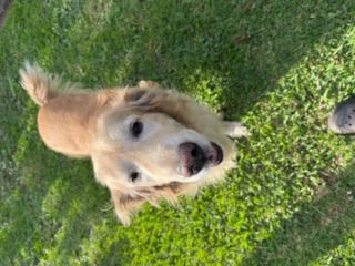 purujit1912 uploaded   188  day/s  ago