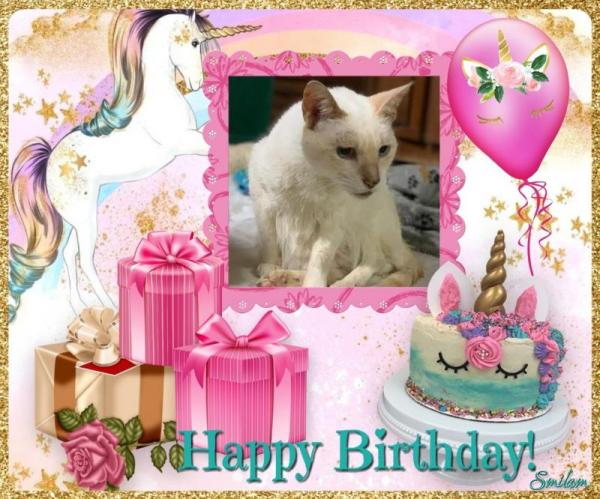 Sukriti Priya of the purujit1912 family