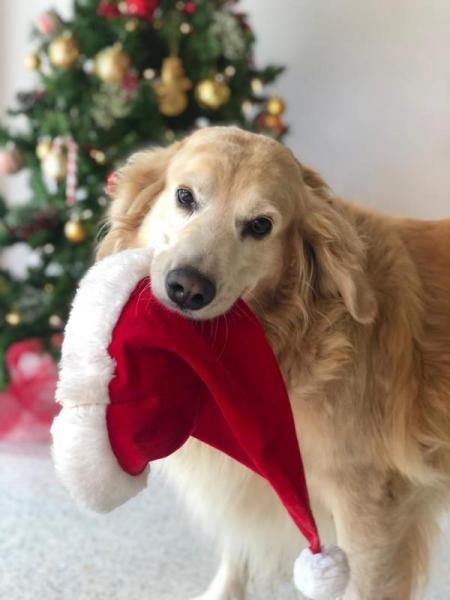 purujit1912 uploaded   3 year/s ago