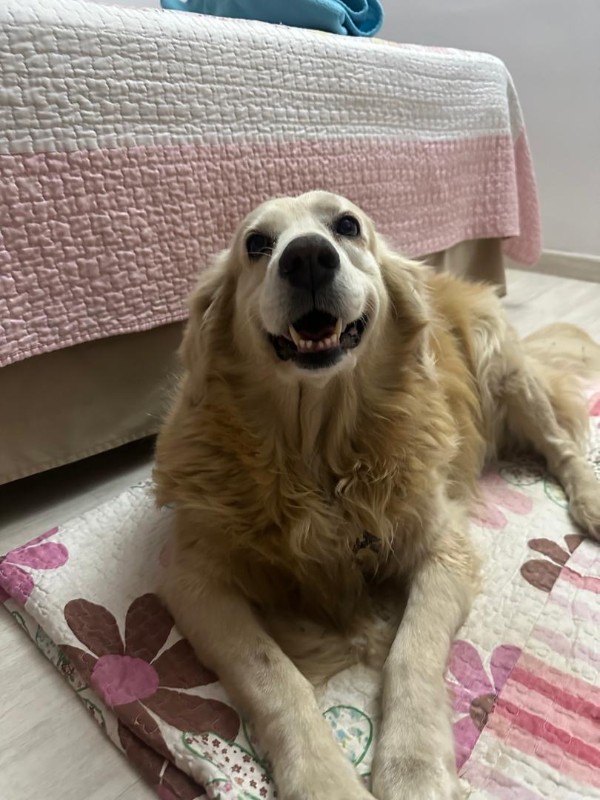 Shakti Priya of the purujit1912 family