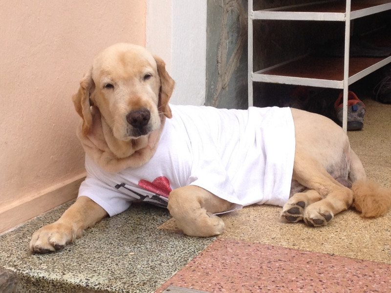 purujit1912 uploaded   1 year/s ago