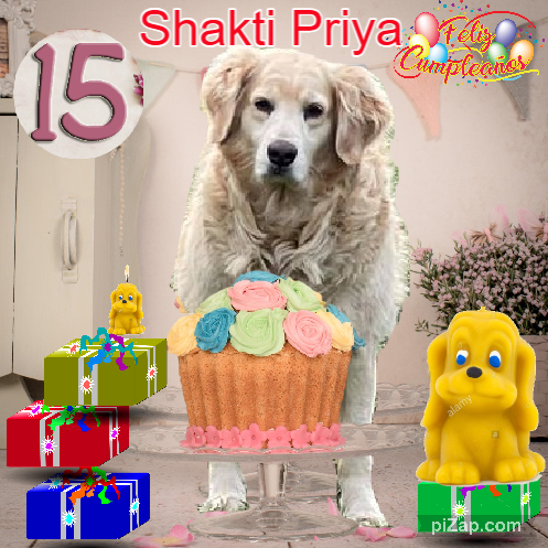 purujit1912 uploaded   361  day/s  ago
