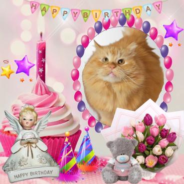 Catalina of the purujit1912 family