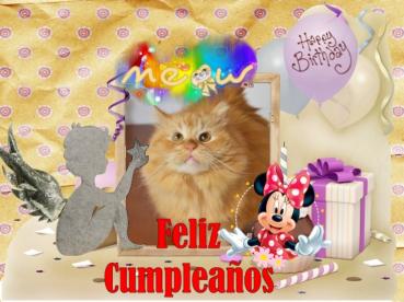 Catalina of the purujit1912 family