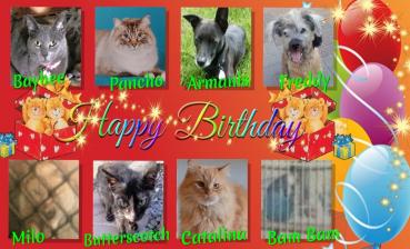 Catalina of the purujit1912 family