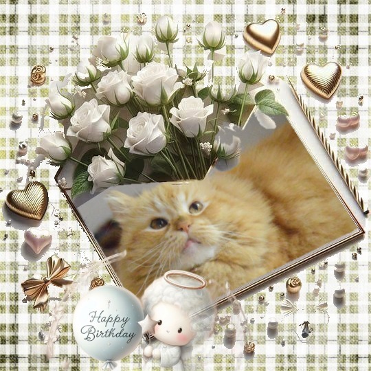 Catalina of the purujit1912 family