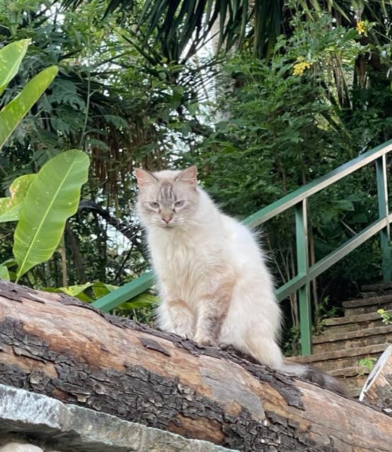 purujit1912 uploaded   4 year/s ago