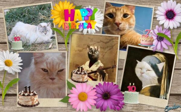 purujit1912 uploaded   1 year/s ago