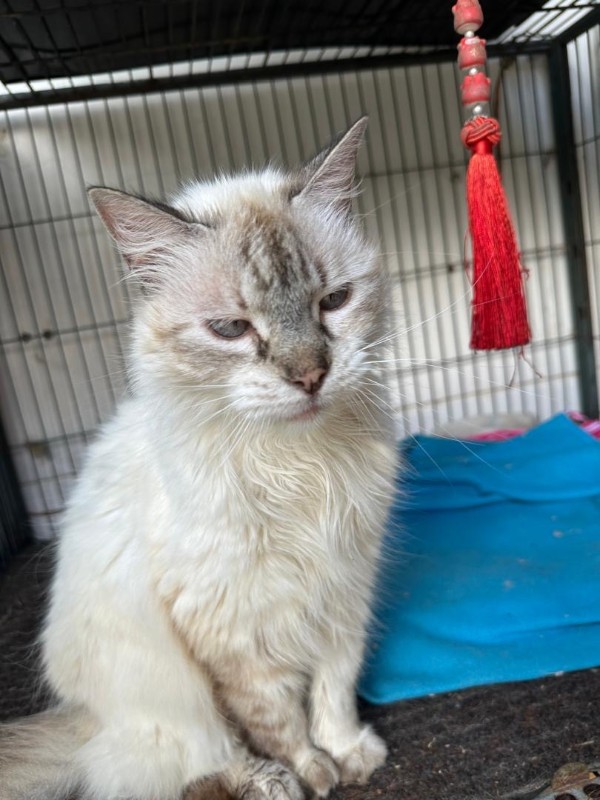 purujit1912 uploaded   1  day/s  ago