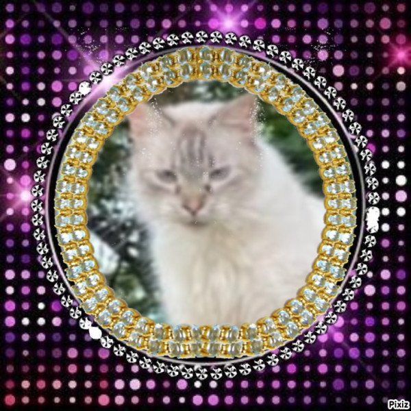 purujit1912 uploaded   36  day/s  ago