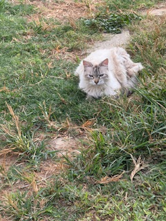 purujit1912 uploaded   1 year/s ago