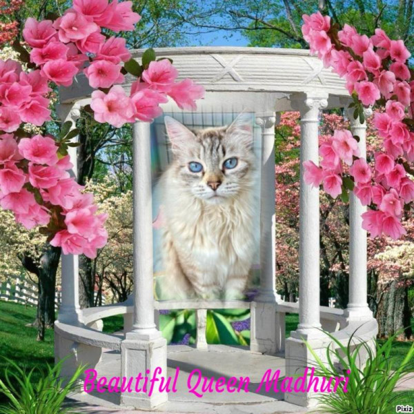 purujit1912 uploaded   33  day/s  ago